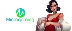 Microgaming